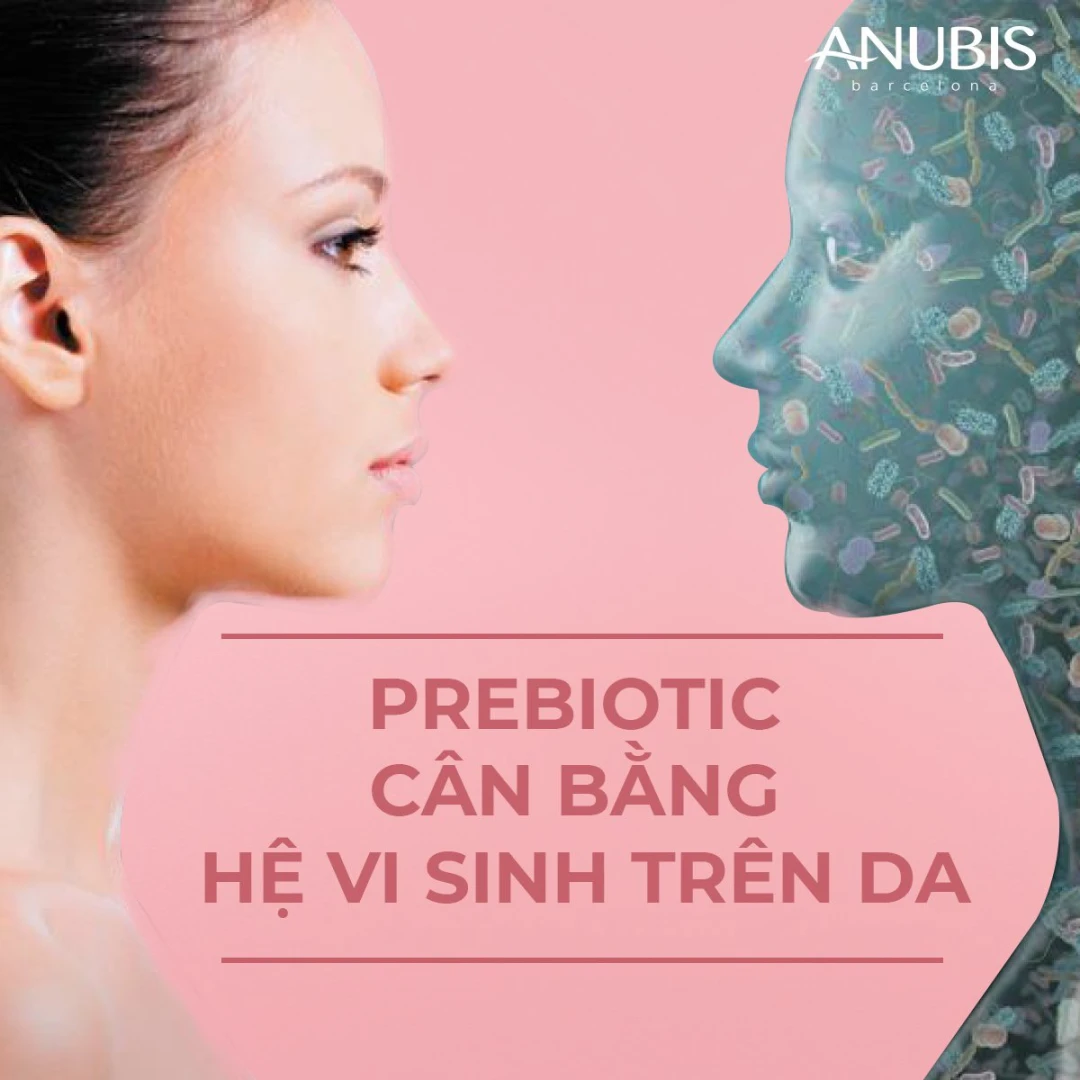 Prebiotic trong mỹ phẩm